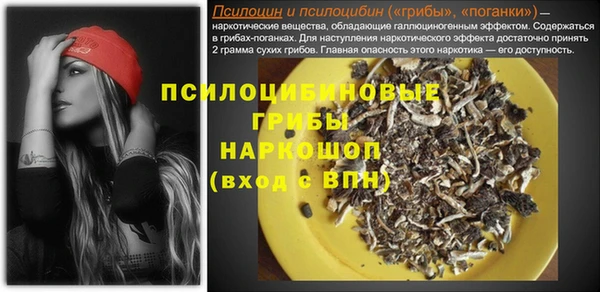 марки nbome Бородино
